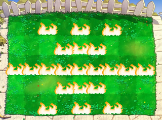 Bhut Jolokia Explosion