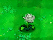 Yoda