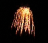 Horsetail3