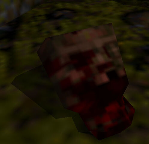 File:Zombie gibbed head.jpg