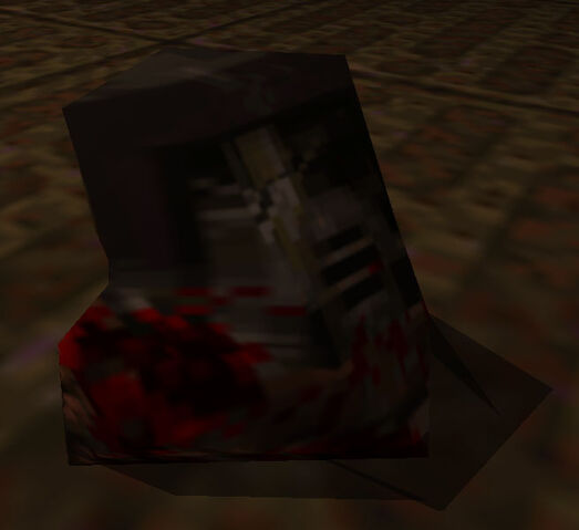 File:Enforcer gibbed head.jpg