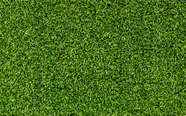 File:Green-grass.jpg