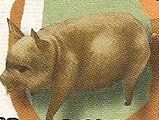 Bubu