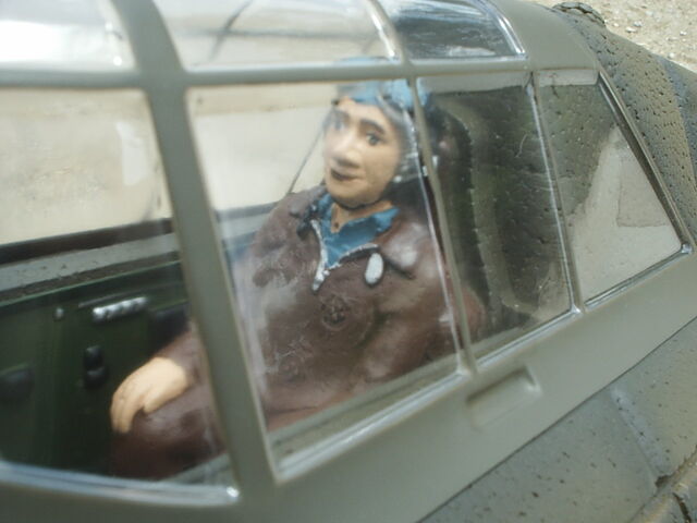 File:P47 pilot.jpg