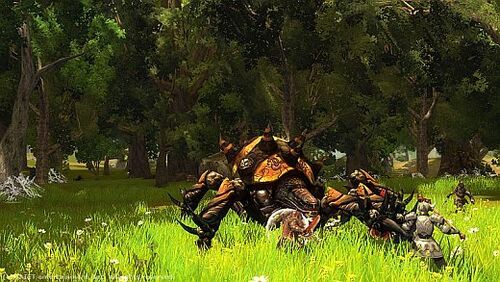 Raiderz 6