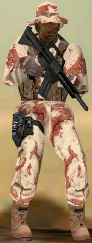 File:Desert Light.png