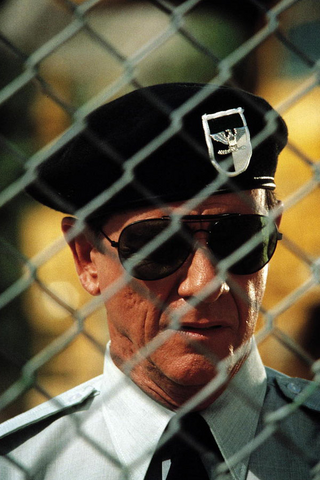 File:Shades.png