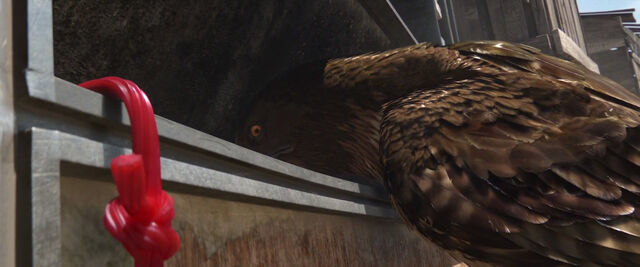 File:Rango-disneyscreencaps com-3863.jpg