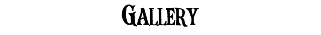 File:Rangogallery.png