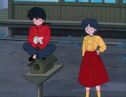 Ranma and Akane talk