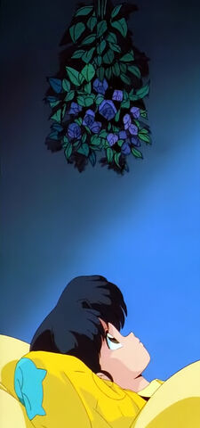 File:S01-12-A-Woman's-Love-is-War!-The-Martial-Arts-Rhythmic-Gymnastics-Challenge!-Akane-Black-Roses.jpg