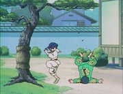 Ranma falls from Tree