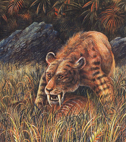 File:Sabertooth1.jpg