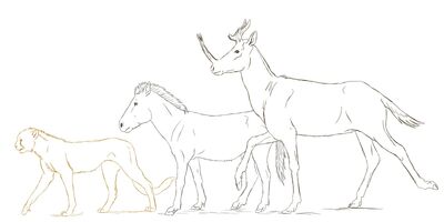 Sizes redo by rathacat-d7mrwh5