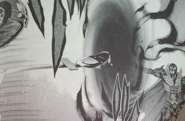 File:Swallow.jpg