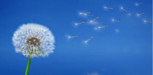File:Air-Quality-Monitoring.jpg
