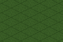 Grass