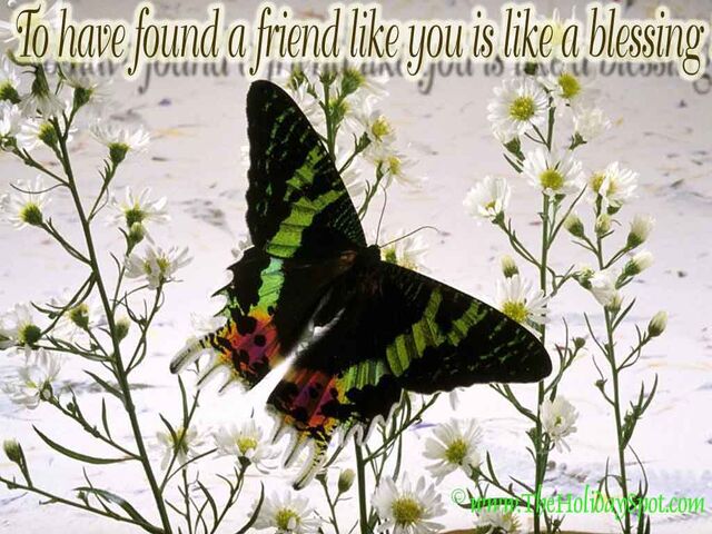 File:Friendship-wallpaper-05.jpg