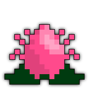 Belladonna