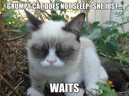 Grampycat