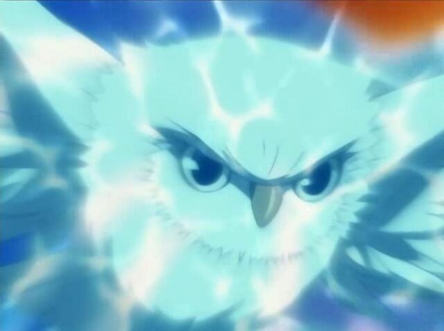 File:RainOwl.jpg