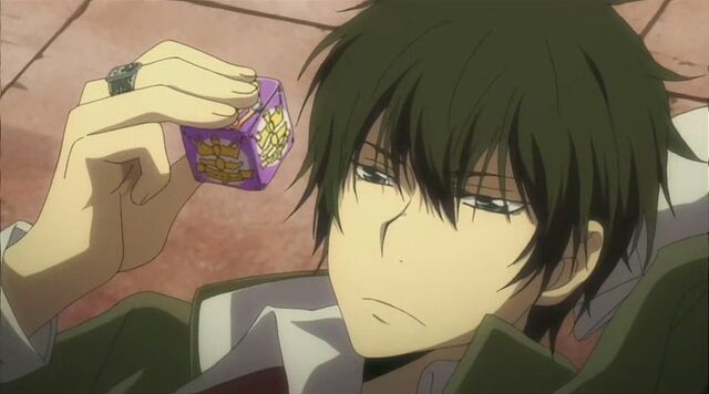 File:Hibari's Vongola Box Weapon.jpg