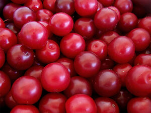 Cherry plus