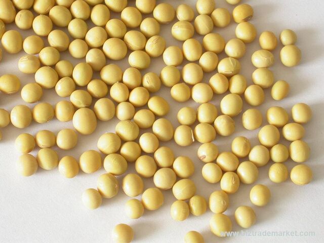 File:Soy-bean.jpg