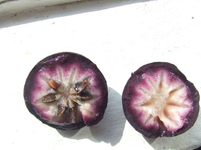 File:Star apples.jpg