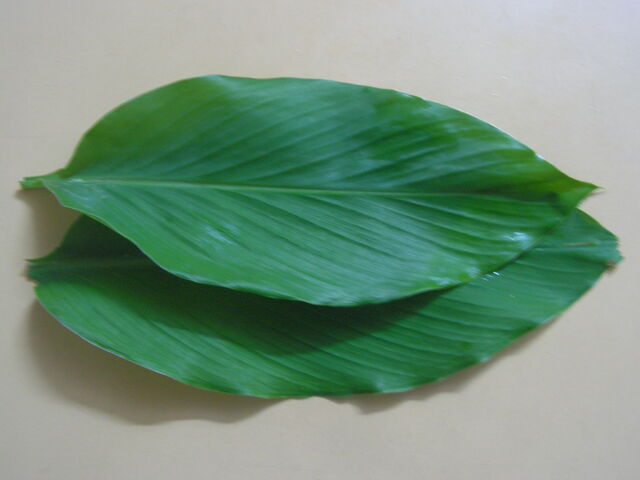File:Turmeric leaves.jpg