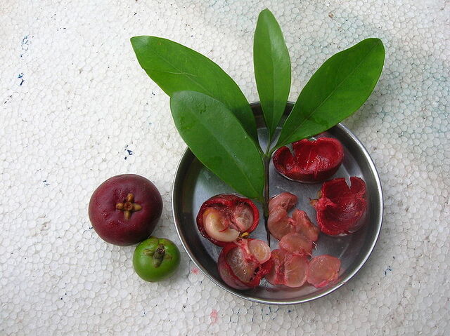 File:Kokum.jpg
