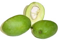GreenMangoes