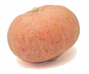 GoldenNuggetSquash