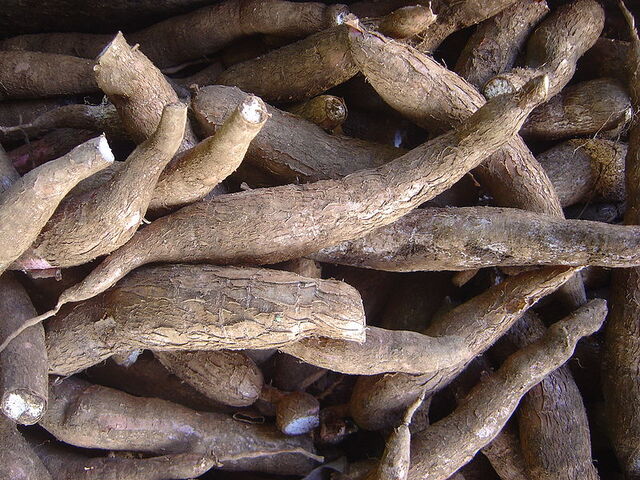File:Yuca.jpg