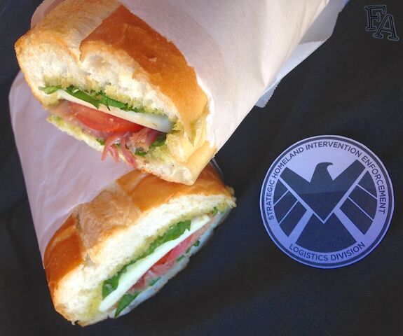 File:Fitzsandwich-agentsofshield.jpg