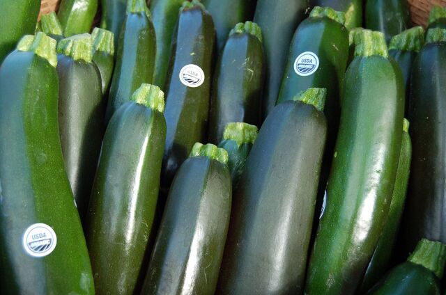 File:Organic+Zucchini-3168.jpg