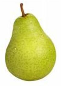 Williams pear