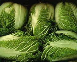 File:Bokchoy.jpg