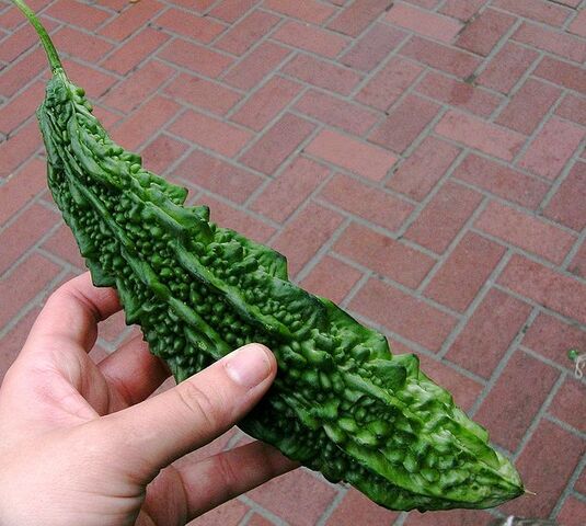 File:Bitter melon.jpg