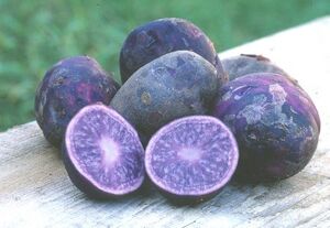 Purple potatoes