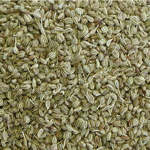 File:Ajowan.jpg
