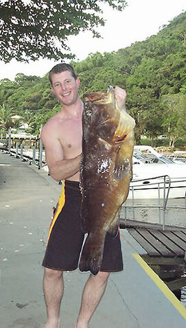 File:Grouper.jpg