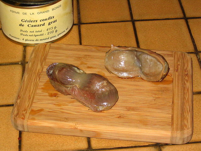 File:Gizzard.jpg