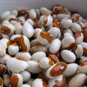 Yellow-eye bean