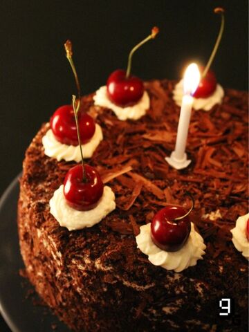 File:Portalcakerecipe.jpg