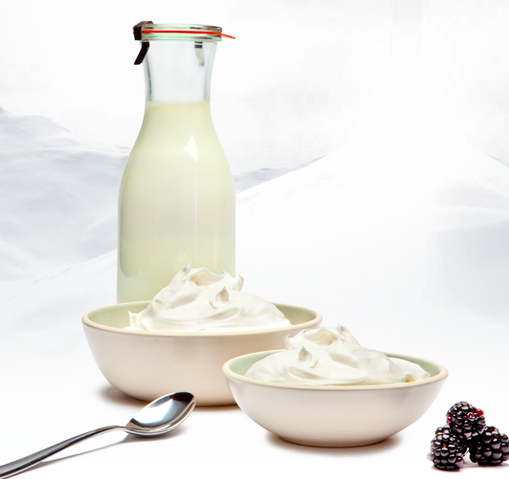 File:Cocoyogurt.png
