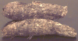 Malanga root
