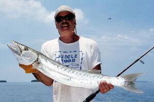 Barracuda