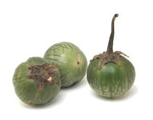 Thai eggplant