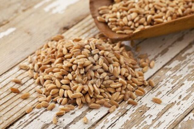 File:9190824-scoop-of-farro-grain-ancient-wheat-on-rustic-wooden-scoop-against-grunge-white-painted-wood-surface.jpg